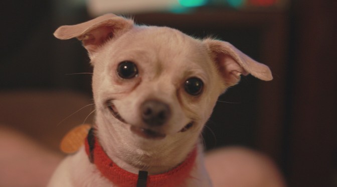 New Cover for RUMER HAS IT