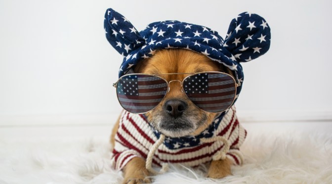 THE MANNEQUIN • 4th of July #SALE